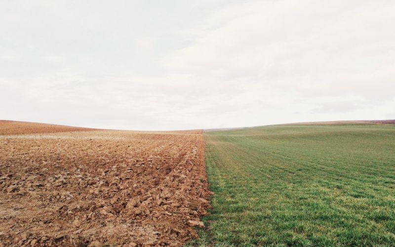 Lee más sobre el artículo ¿Qué hubiera pasado si no existiera la agricultura?